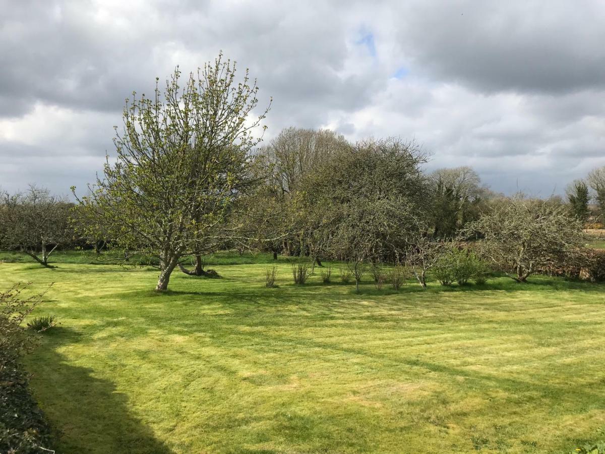 Corrib View Farmhouse Galway Ngoại thất bức ảnh