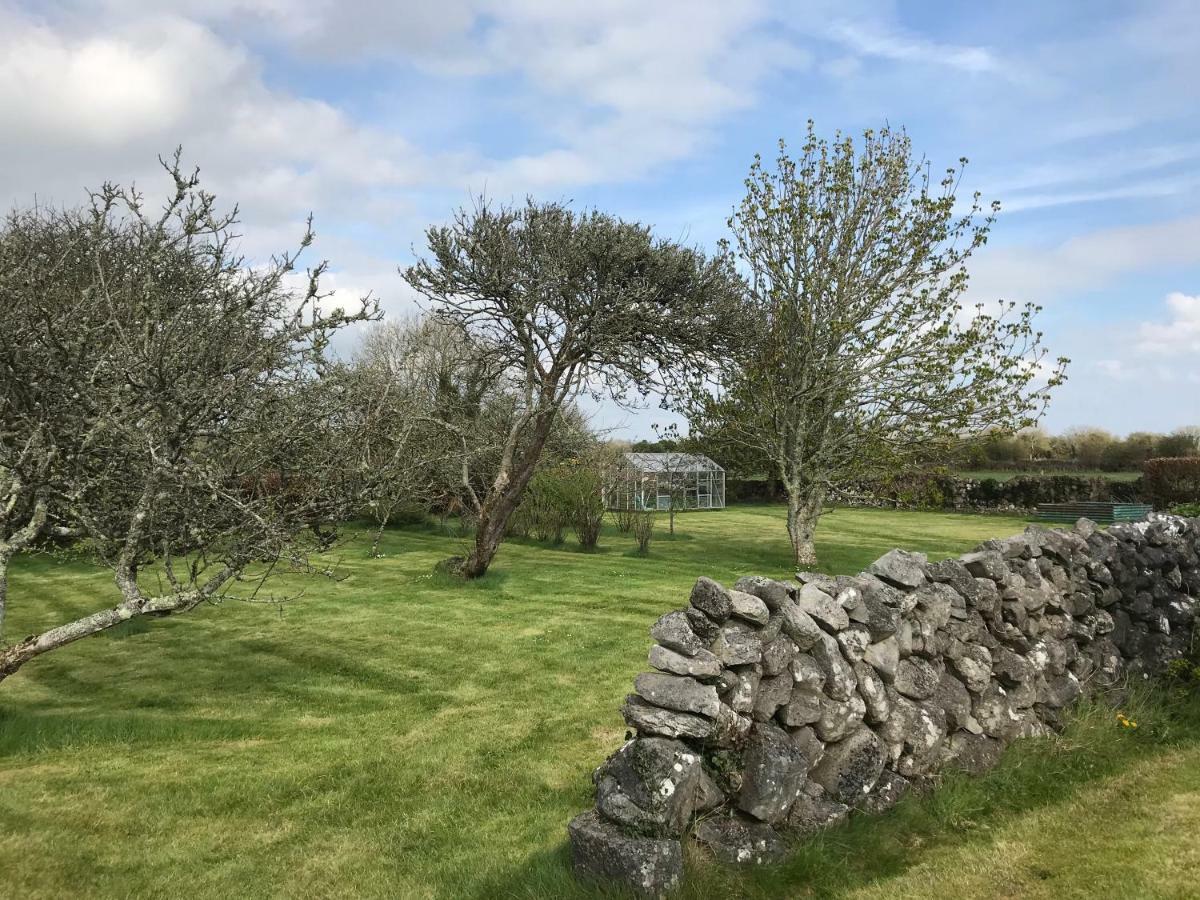 Corrib View Farmhouse Galway Ngoại thất bức ảnh