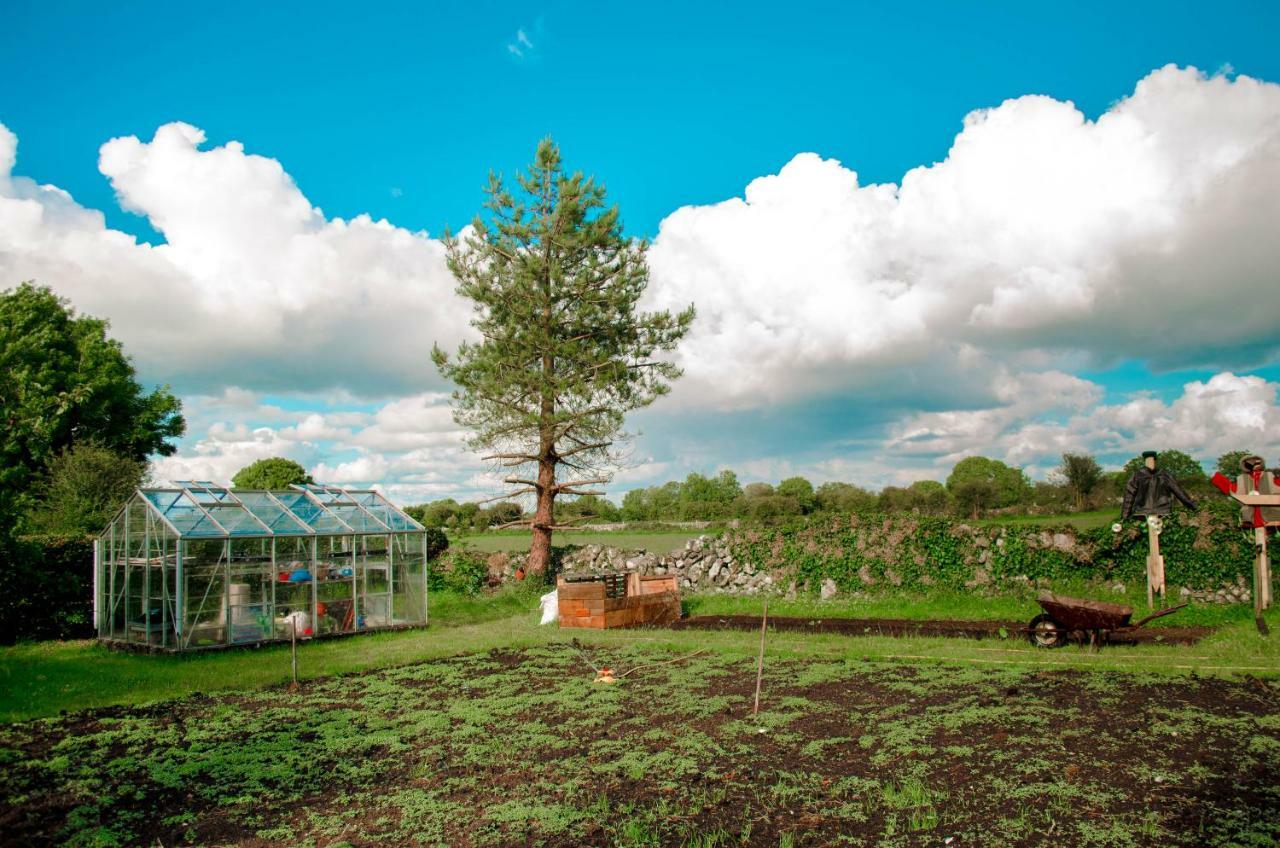 Corrib View Farmhouse Galway Ngoại thất bức ảnh