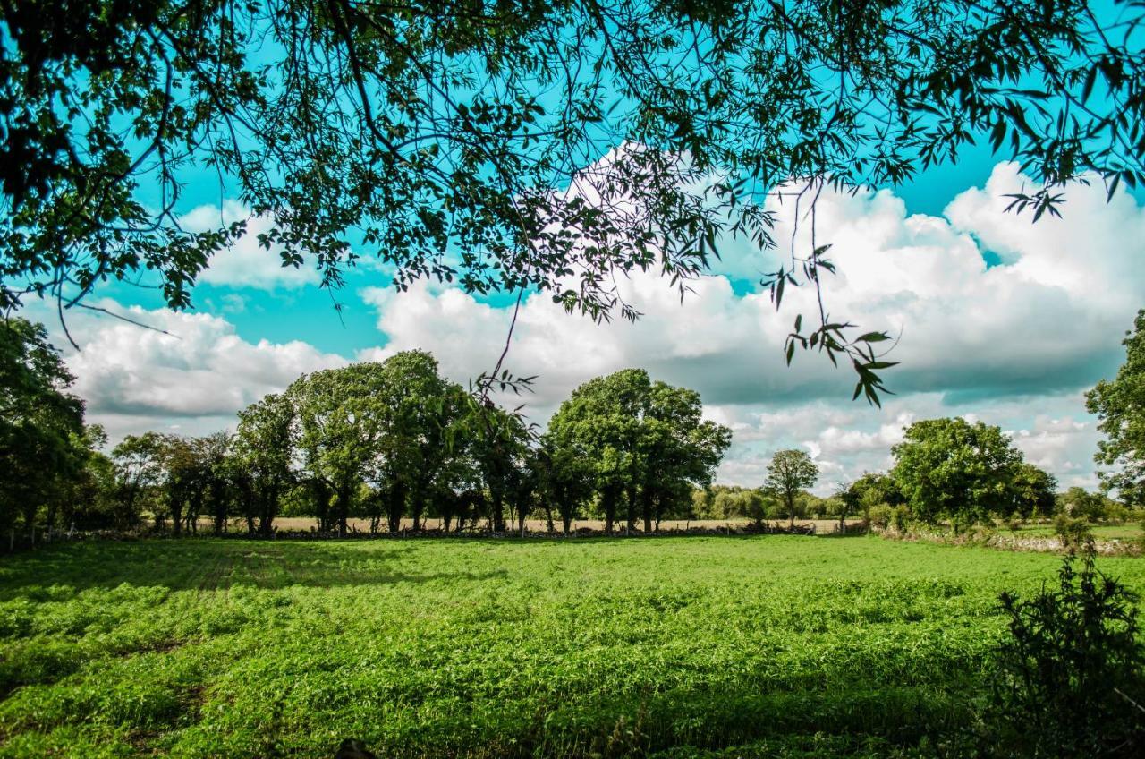 Corrib View Farmhouse Galway Ngoại thất bức ảnh